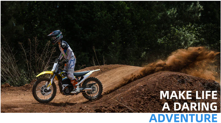 Home storm bee fold 10